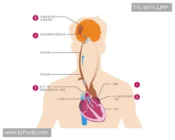 杭州篮球队协作分析与战术配合的深度探讨与展望 杭州篮球队协作分析与战术配合的深度探讨与展望